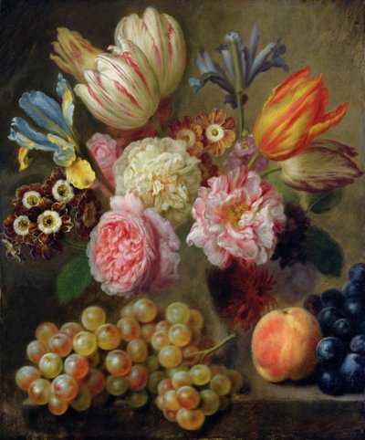 Studio di Fiori da Balthasar Denner